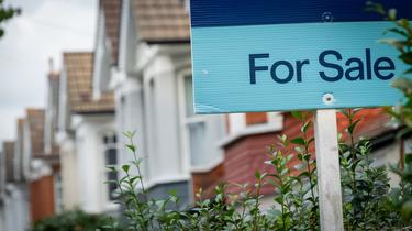 How is the mansion tax distorting the housing market?